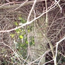Milestone, c.10yds N of roundabout