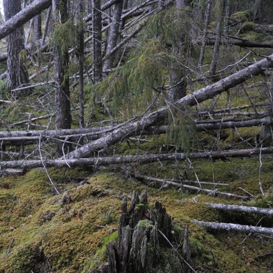 Gäle Virgin Forest Nature Reserve