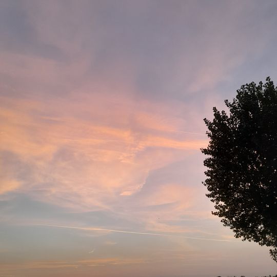 Siti palafitticoli preistorici delle alpi - Lugana Vecchia