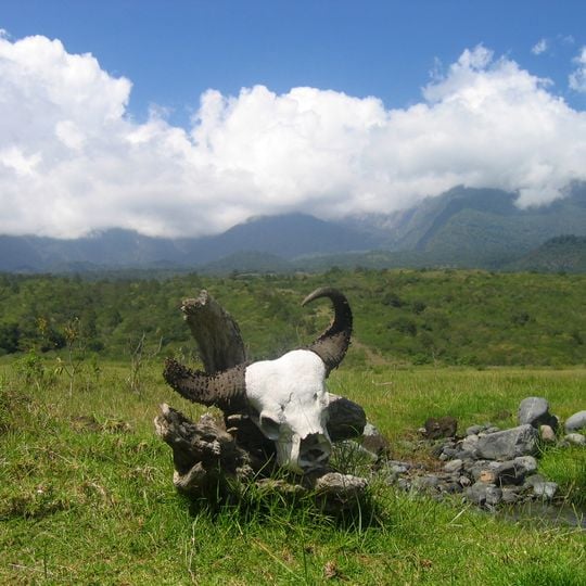 Parco nazionale di Meru