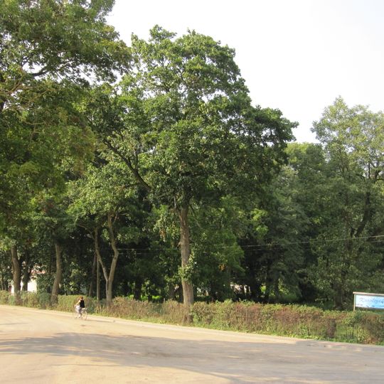 Manor park in Rozogi