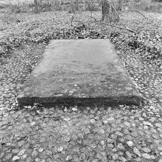 Singraven: grafkelder