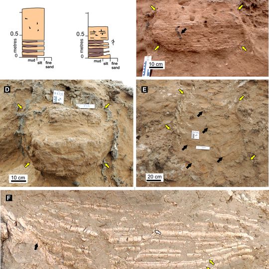 Cerro Azul Formation