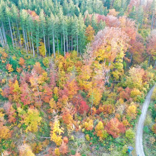 Cultural heritage D-1-8134-0006 in Münsing