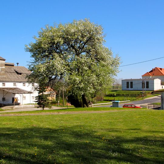 Pietrowice, Opole Voivodeship