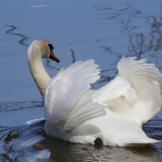 Mittlere Havelniederung