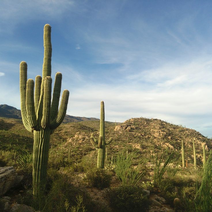 Distretto Montuoso Rincon