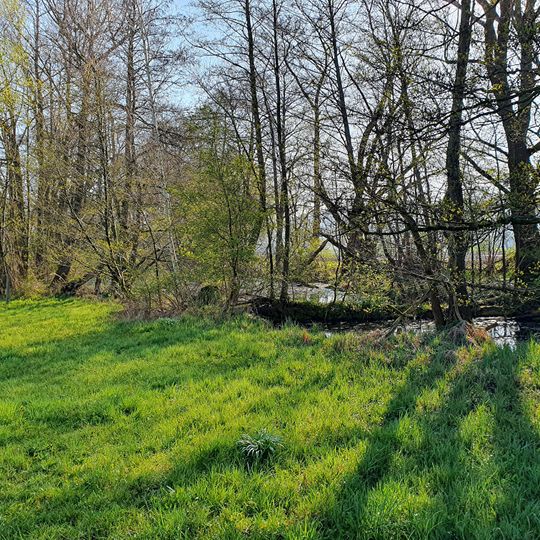 Hufeisen-Altwasser bei Wetterzeube