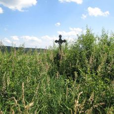 Kříž severovýchodně od Tasnovic