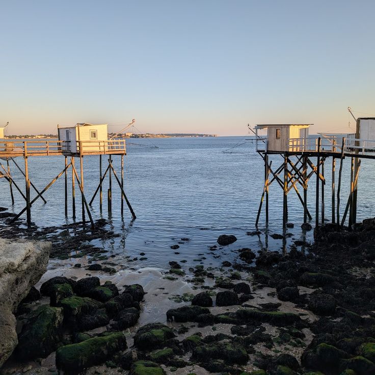 The crab boats