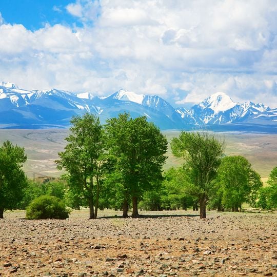 Montañas doradas de Altái