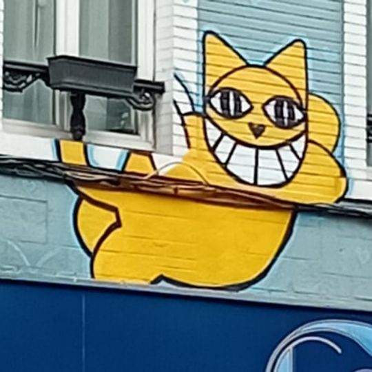 Mr Chat