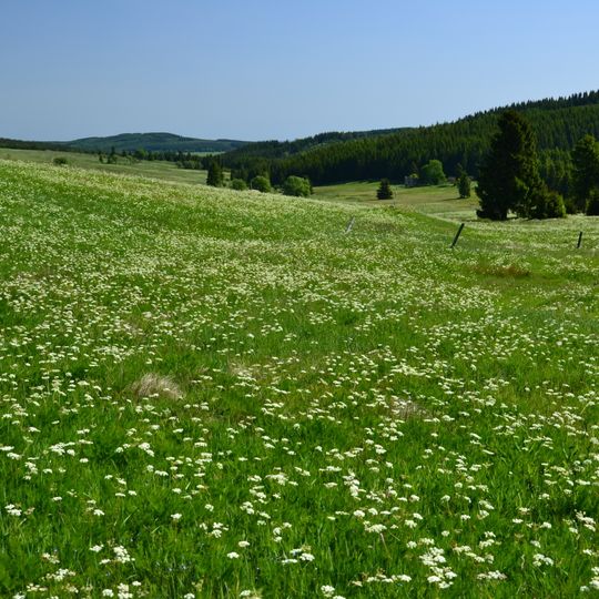 Horská louka u Háje