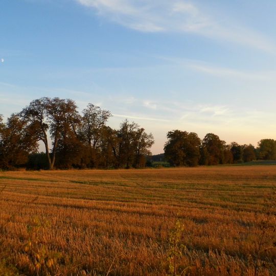 Park z aleją dojazdową