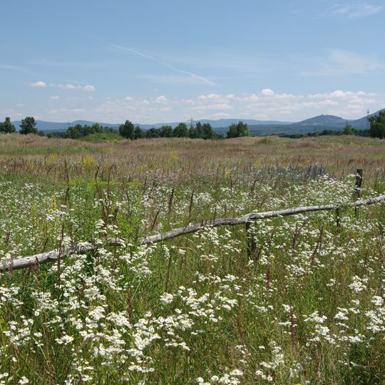 Sandheiden und Dünen bei Sandweier und Iffezheim