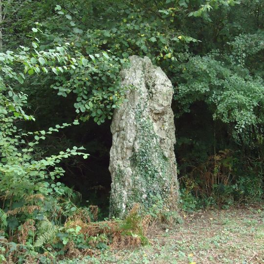 Menhir du Perray