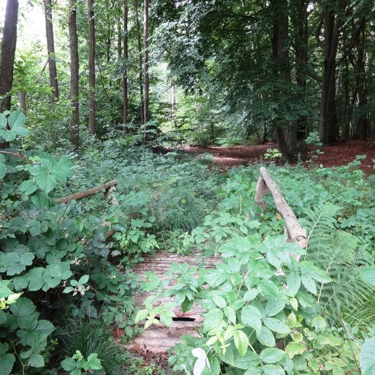 Karlsburger und Oldenburger Holz