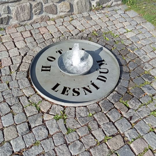 Fountain at Hotel Lesní dům