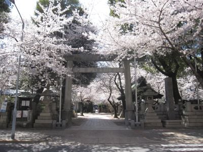 Entrée 1