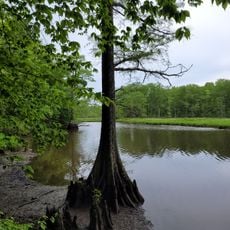 Chickahominy Wildlife Management Area