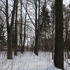 Парк (Патакино)