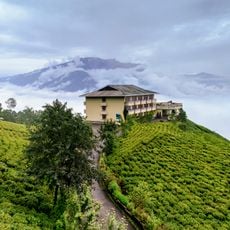 Temi Tea Garden