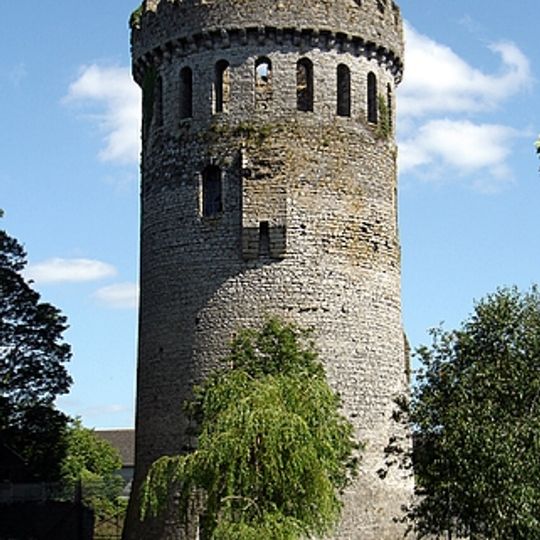 Nenagh Castle