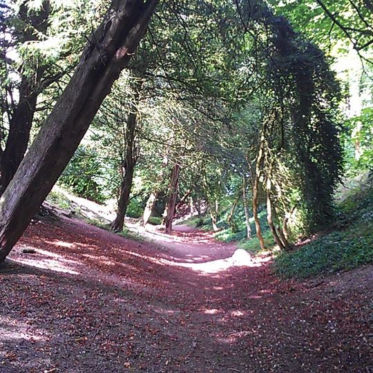 Wandlebury Hill Fort