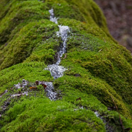 Trauf der mittleren Frankenalb im Sulztal