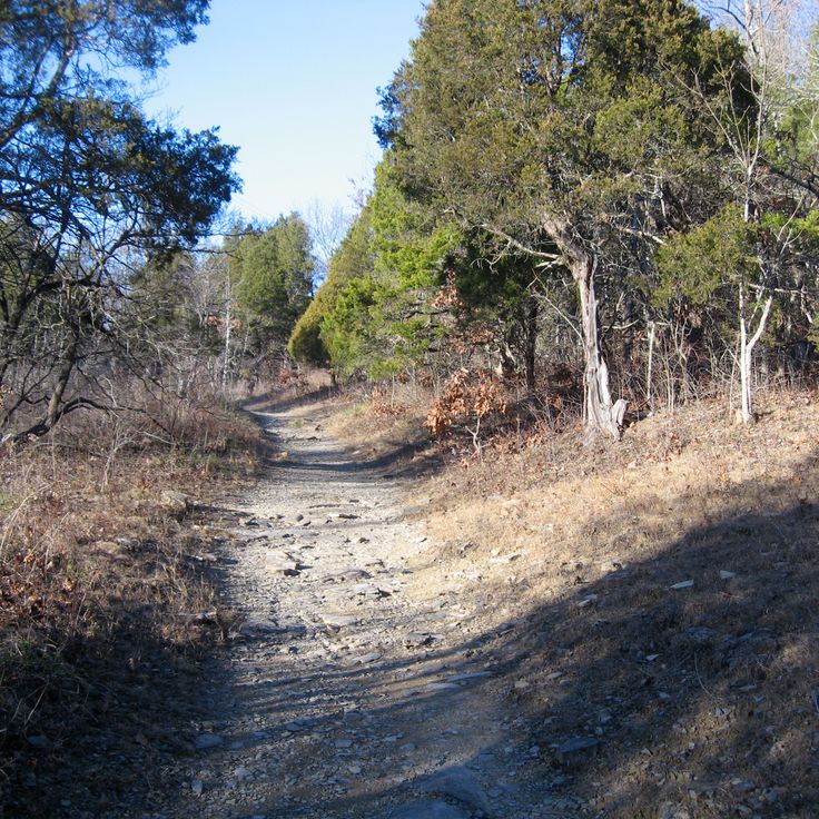 Blue Licks Battlefield State Resort Park