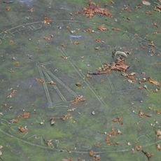 Grafteken Anthonie Begeer