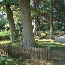 Cemetery insurgent in Sobolew