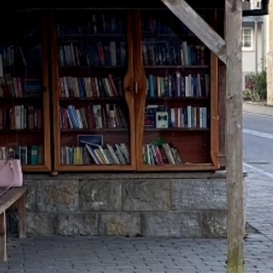 Öffentlicher Bücherschrank