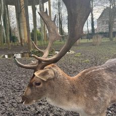 Zoo du jardin public