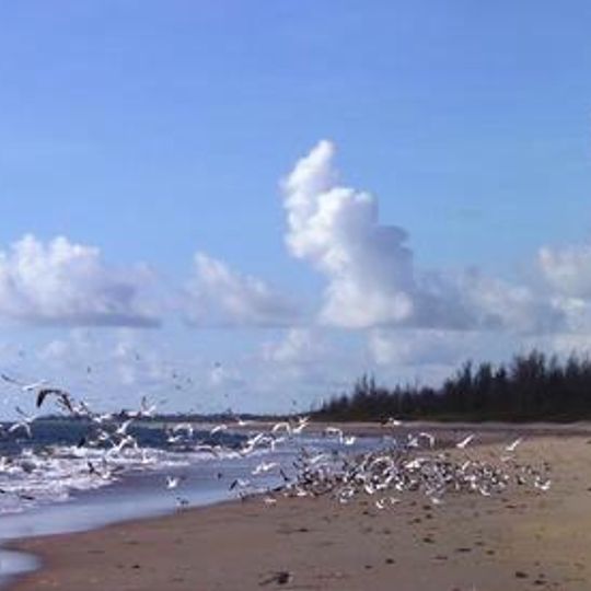 Parc d'État St. Lucie Inlet Preserve