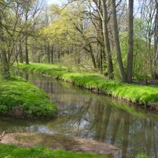 Schwarze Elster oberhalb Hoyerswerda