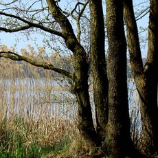 Großer Mützelburger See