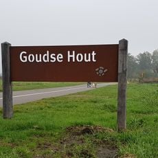 Goudse Hout