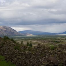 Iceland boreal birch forests and alpine tundra