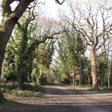 Old Roar Gill and Coronation Wood