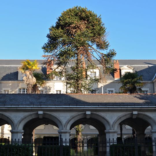 Convent of the Visitation