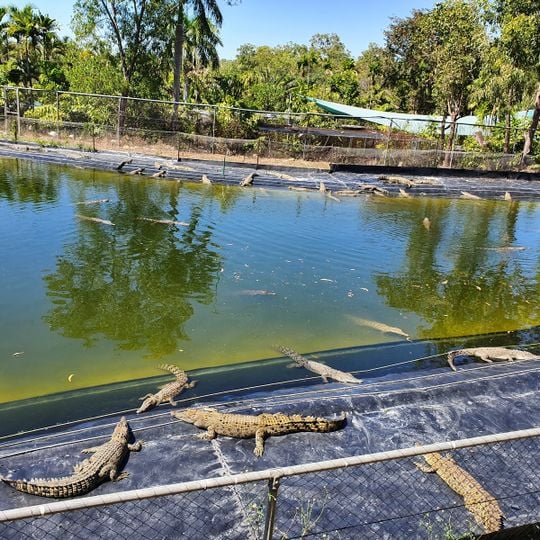 Crocodylus Park
