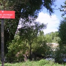 Rezerwat przyrody Łachy Brzeskie