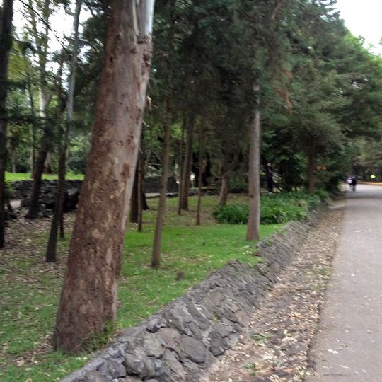 Bosque de Tlalpan