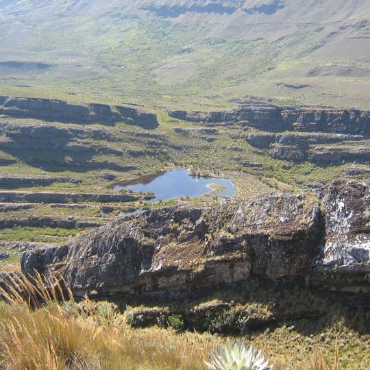 Park Narodowy Cordillera de los Picachos