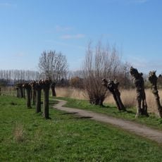 Katershofpad