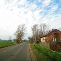 distretto di Łowicz