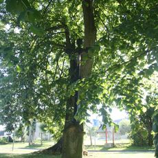 Kříž u kaple sv. Václava ve Veselém Žďáru