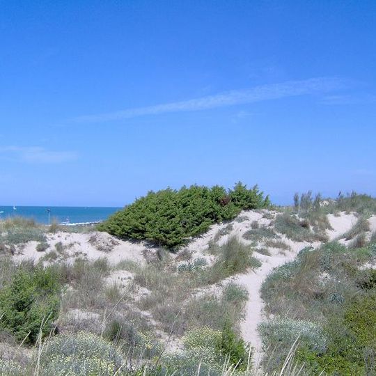 Oasi Dune di Tirrenia