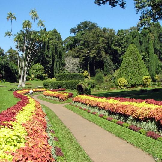 Real Jardín Botánico de Peradeniya